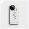 1-72_Histoire-des-Plantes-Grasses_phone