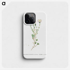 1-72_Histoire-des-Plantes-Grasses_phone