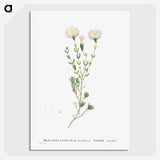 1-72_Histoire-des-Plantes-Grasses_picture-crop