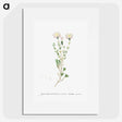 1-72_Histoire-des-Plantes-Grasses_picture