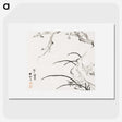 1-72_Hu-Zhengyan_picture