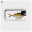 1-72_Ichtyologie-ou-Histoire-naturelle_phone