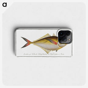 1-72_Ichtyologie-ou-Histoire-naturelle_phone