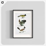 1-72_Indian-Zoology_blk