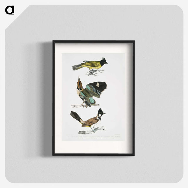 1-72_Indian-Zoology_blk