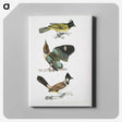 1-72_Indian-Zoology_canvas