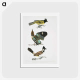 1-72_Indian-Zoology_hagaki