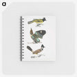 1-72_Indian-Zoology_memo