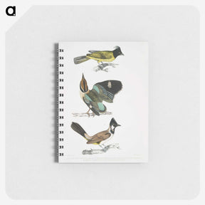 1-72_Indian-Zoology_memo