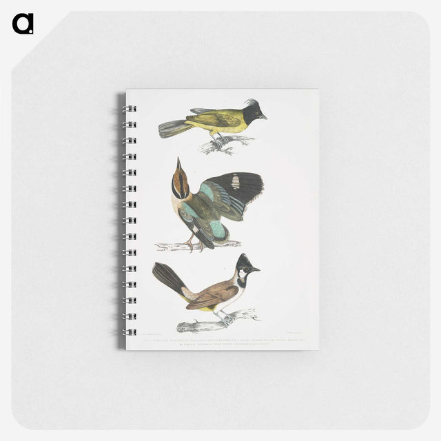 1-72_Indian-Zoology_memo