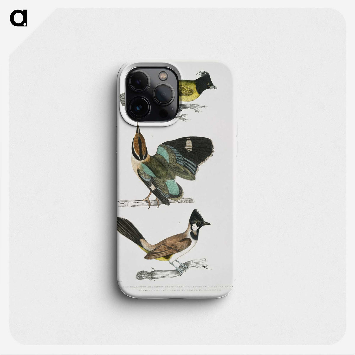 1-72_Indian-Zoology_phone