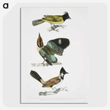 1-72_Indian-Zoology_picture-crop