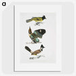 1-72_Indian-Zoology_picture