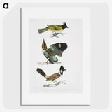 1-72_Indian-Zoology_picture