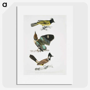 1-72_Indian-Zoology_picture