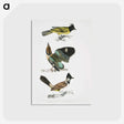 1-72_Indian-Zoology_postcard