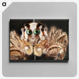 1-72_Insects-Unlocked-Project_canvas