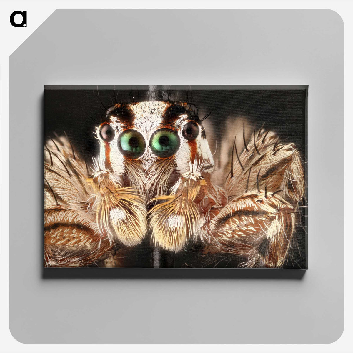 1-72_Insects-Unlocked-Project_canvas