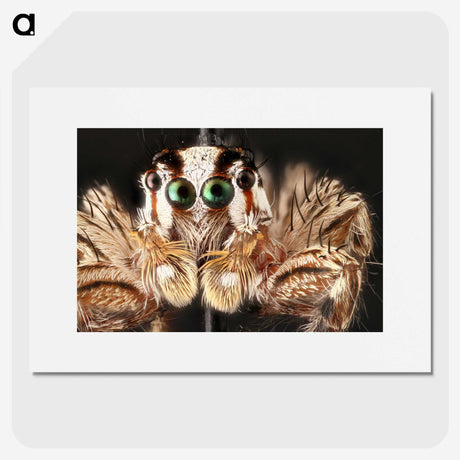 1-72_Insects-Unlocked-Project_picture