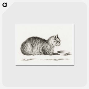 アートポストカード-Lying cat for a dish - ジャン ベルナール Postcard.