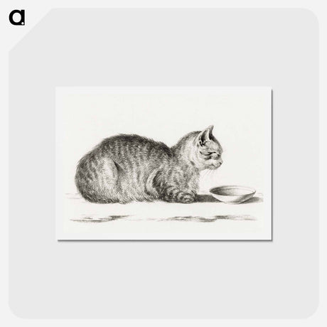 アートポストカード-Lying cat for a dish - ジャン ベルナール Postcard.