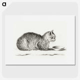 1-72_Jean-Bernard_picture
