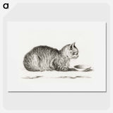 Lying cat for a dish - Jean Bernard Poster.
