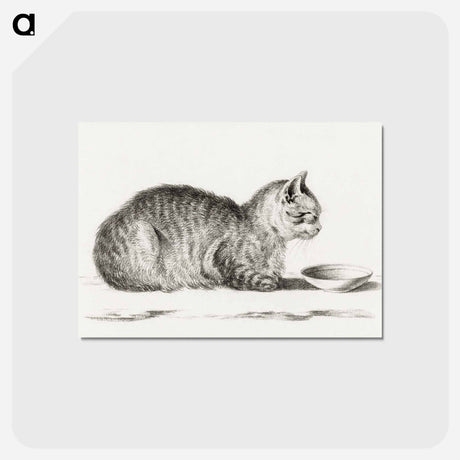 アートポストカード-Lying cat for a dish - ジャン ベルナール Postcard.