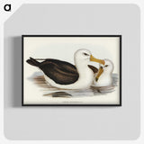 1-72_John-Gould_blk-crop