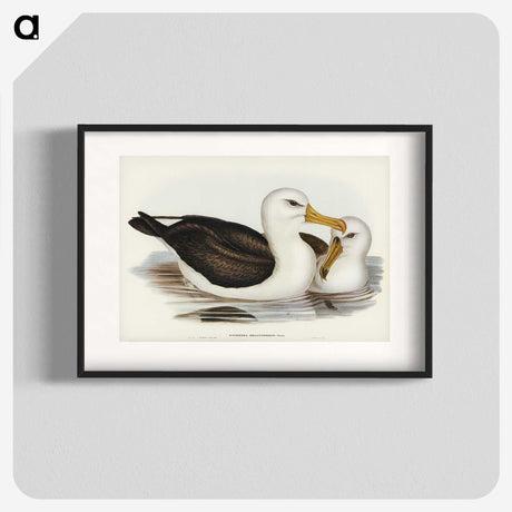 1-72_John-Gould_blk