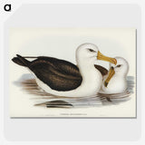 1-72_John-Gould_picture-crop