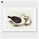 1-72_John-Gould_picture