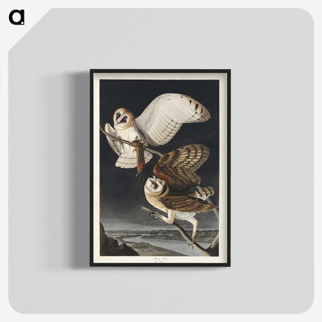 1-72_John-James-Audubon_blk-crop