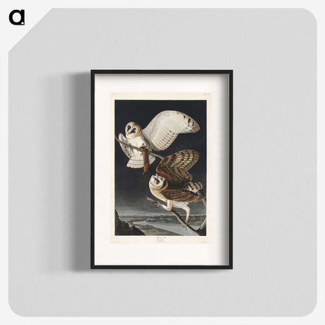 1-72_John-James-Audubon_blk