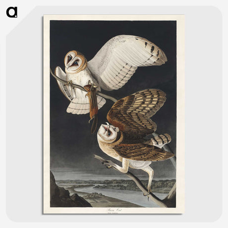 1-72_John-James-Audubon_picture-crop