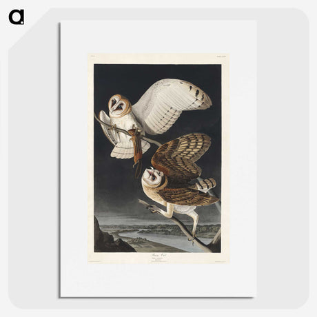 1-72_John-James-Audubon_picture