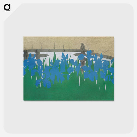 アートポストカード-Irises from Momoyogusa–Flowers of a Hundred Generations - 神坂 雪佳 Postcard.