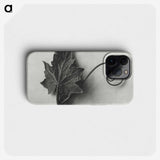 1-72_Karl-Blossfeldt_phone