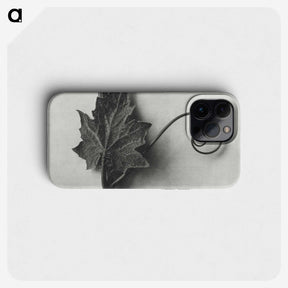 1-72_Karl-Blossfeldt_phone