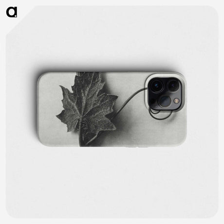 1-72_Karl-Blossfeldt_phone