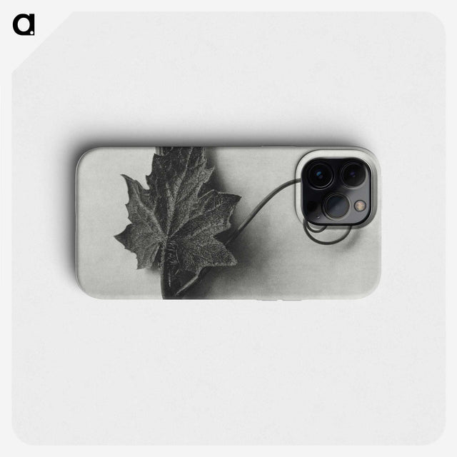 1-72_Karl-Blossfeldt_phone