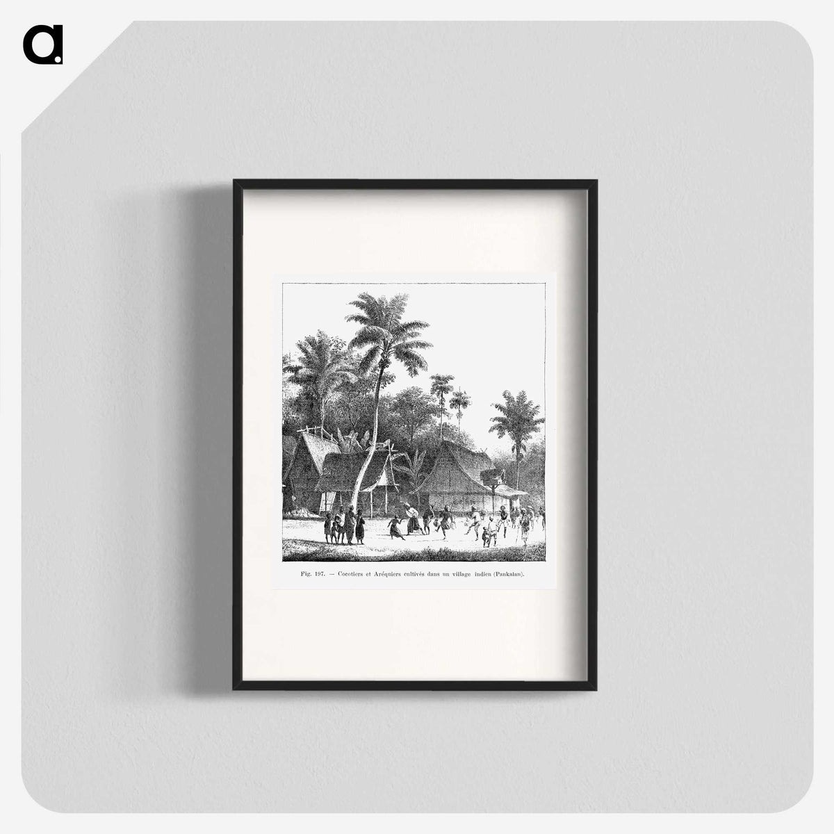 1-72_Les-Palmiers-Histoire-Iconographique_blk