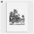 1-72_Les-Palmiers-Histoire-Iconographique_picture