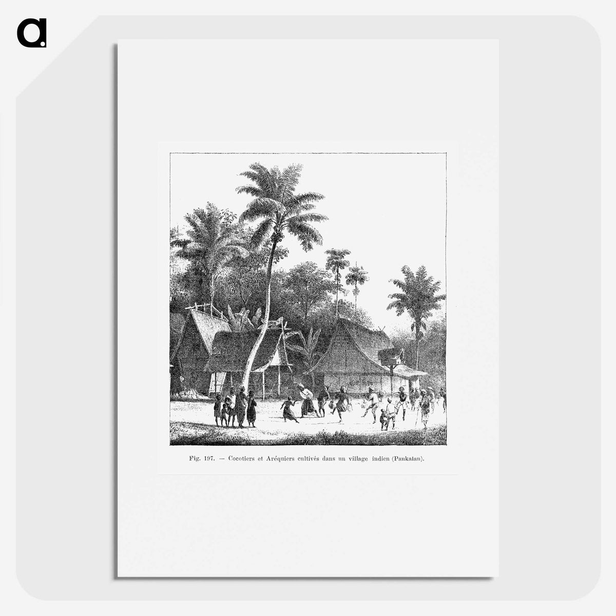 1-72_Les-Palmiers-Histoire-Iconographique_picture