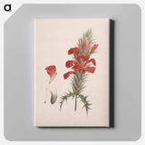 アートパネル-Acanthus Sennii Chiov.
 - ルイージ バルガーニ Canvas.