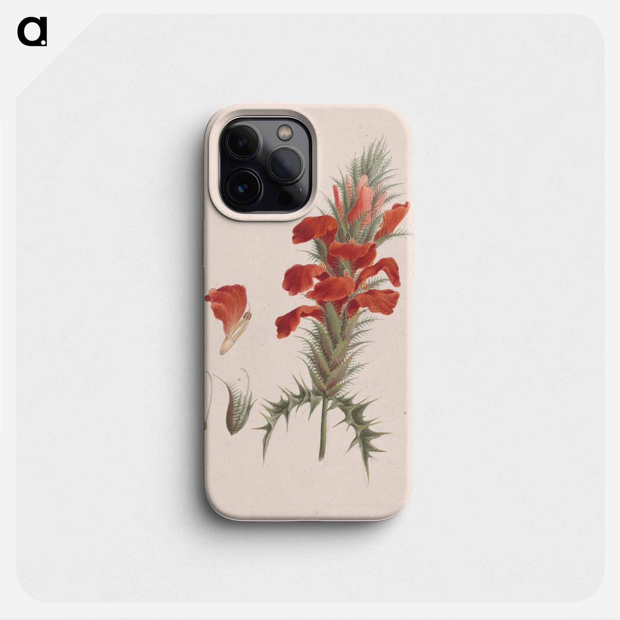 Acanthus Sennii Chiov.
 - Luigi Balgani Phone Case.