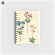 アートメモ帳-Geraniums
 - マリア ジビーラ メーリアン Memo.