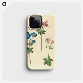 1-72_Maria-Sibylla-Merian_phone