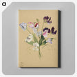 1-72_Mary-Vaux-Walcott_canvas