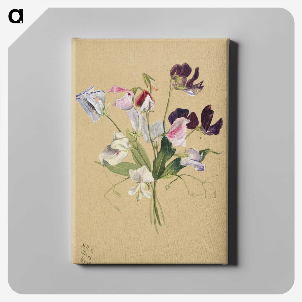 1-72_Mary-Vaux-Walcott_canvas